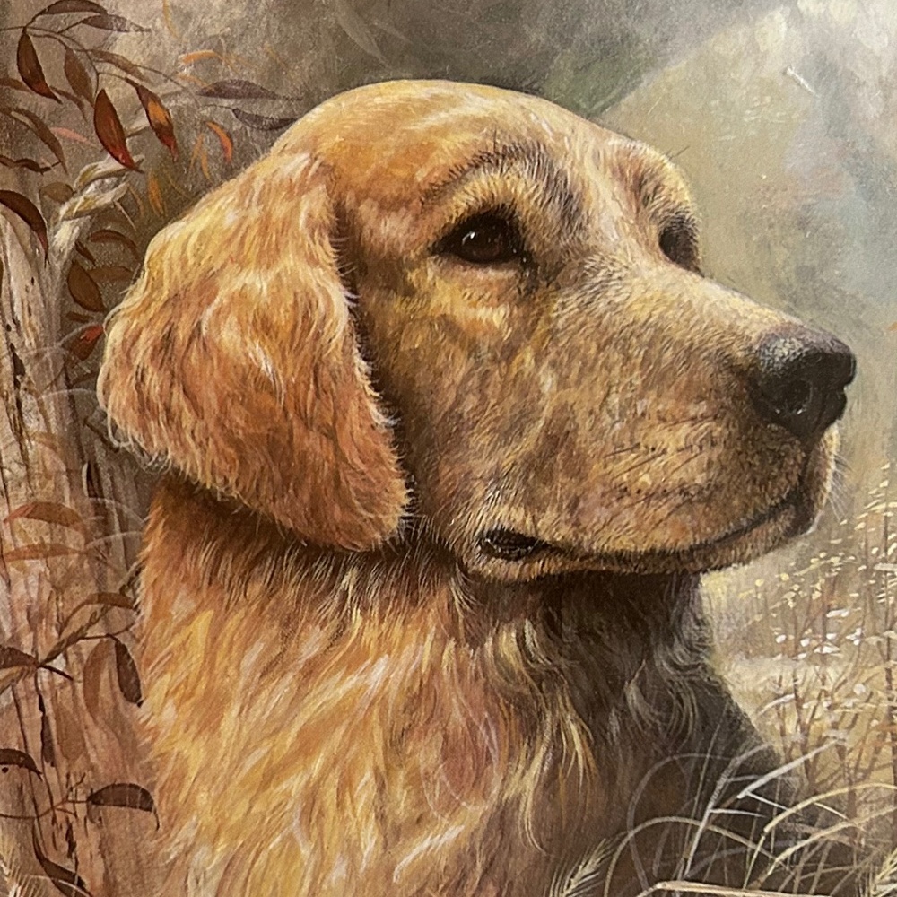 Duane Manning Golden Beauty art print